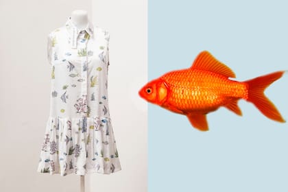 Fondo marino, peces incluidos, en una estampa de temporada