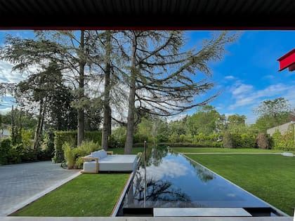 Fondo oscuro para cumplir con el objetivo de reflehar el cielo y los árboles.