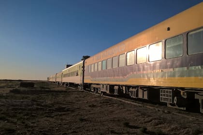 El Tren Patagónico hoy vuelve a cruzar la provincia de Río Negro