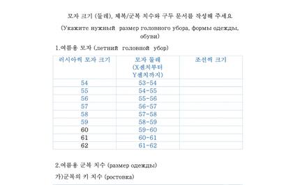 Formulario ruso entregado a los soldados norcoreanos