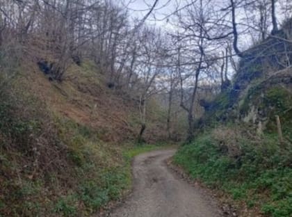 Foso del castillo de Lena antes de su excavación
