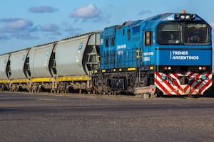 Trenes: se usan cada vez más para cargas y se batió un récord