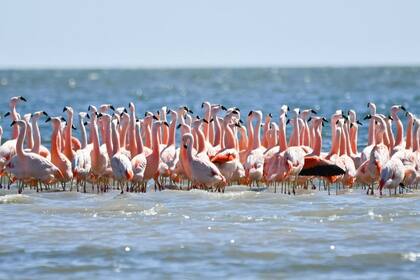 Foto: Instagram/@leonardodicaprio