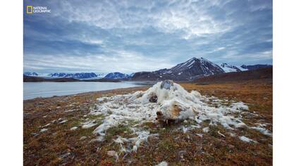 1er Premio: Cuestiones Ambientales. "Life and Death"