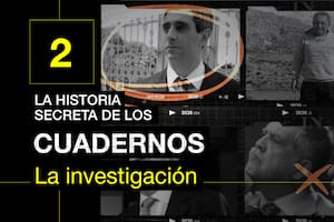 Así fue la búsqueda y el trabajo de Diego Cabot