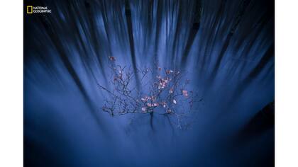 1er Premio: Paisajes. "Struggle of life"