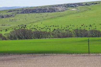 Foto de Barker, Buenos Aires
