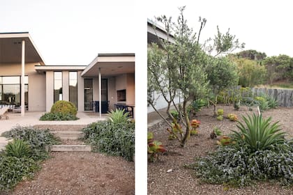 Foto de la izquierda: Escalera con romeros rastreros y agaves. Se destaca la gran bocha de buxus que acompaña la arquitectura. Foto de la derecha: Parte del cantero en forma de “L” se funde con el paisaje circundante.