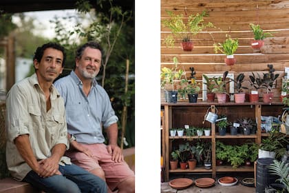 Foto de la izquierda: Román Mazar y Martín Clancy son los dueños de este proyecto. Foto de la derecha: Plantas en maceta de forma organizada para que el cliente tenga una vista ordenada de lo que está disponible.