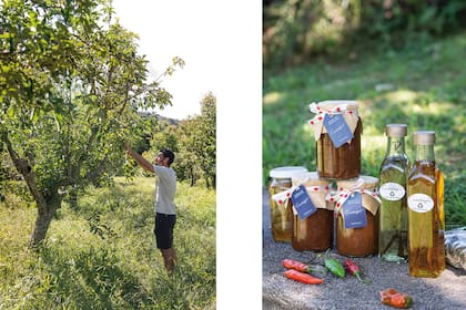 Foto de la izquierda:Luciano García en el sector de los frutales, revisando la sanidad de un manzano. Foto de la derecha: algunos de los productos agro ecológicos. 