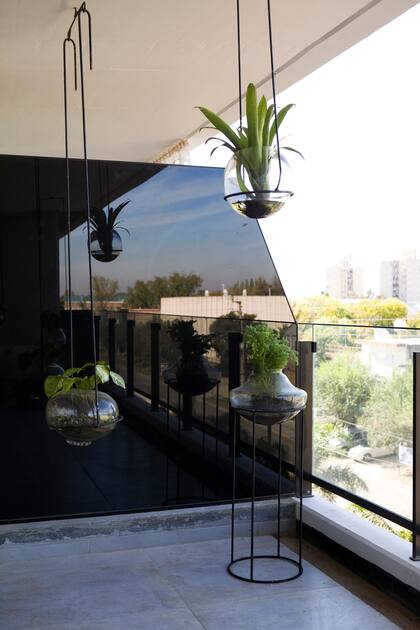 Plantas (Del agua venimos).