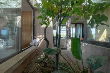 Grandes aberturas transparentes sectorizan el pulmón interno de la casa.