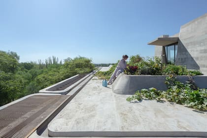 “OF. Naturaleza Abstracta” es como el estudio denominó a la identidad propia de la construcción.