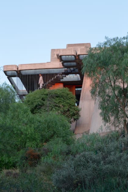 El terreno estaba forestado con especies que requieren riego, además de plantas autóctonas del Pedemonte mendocino, como la jarilla.