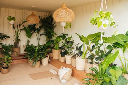 El verde junto a la madera y las fibras naturales son un match perfecto para crear ambientes serenos.