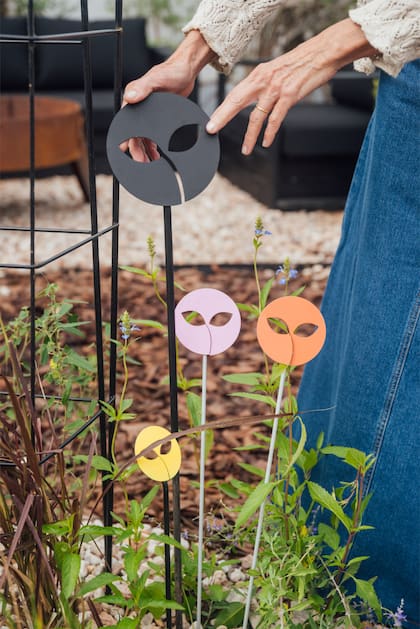 Tutores llenos de color de Elevate.