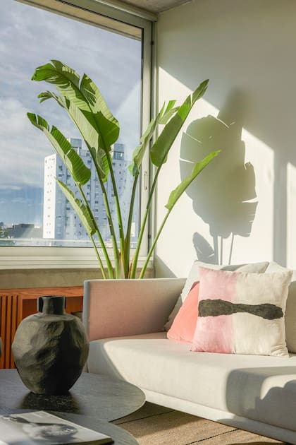 Sofá (Helmut Muebles). Junto a la ventana y disfrutando de la abundante luz natural, Strelitzia Nicolai (Faitful Viveros). Jarrones (Dukaan Home).