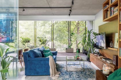 Ubicado en un segundo piso sobre una cortada, el departamento mira a un árbol portentoso, cuya copa se ve desde casi cualquier rincón.