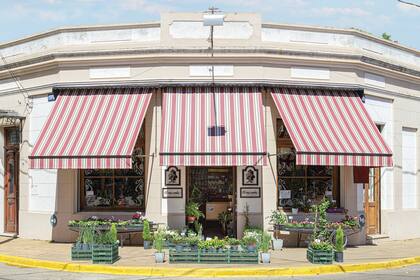 Todas las mañanas, su vereda se tiñe de verde con los plantines de temporada, que desaparecerán a la hora de la siesta para volver a alegrar la esquina por la tarde.