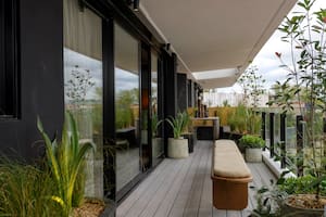 Estas son las 5 plantas de interior que pueden ir en el balcón