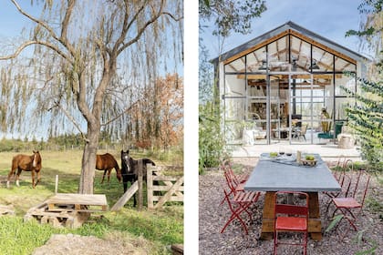 El estudio de Cata es una estructura de bloques de cemento con techo de chapa, cerramientos de hierro y revestimiento exterior pigmentado con ferrite.