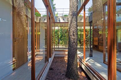 Asesorada por un arborista, la arquitecta proyectó una losa de hormigón sobre vigas invertidas para elevar la casa de modo que las raíces de las coníferas pudieran crecer sin perjudicar los pisos.