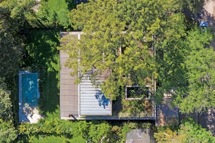 Los tres árboles que tenía el terreno se incluyeron dentro de la obra y, así, el jardín quedó despejado para alojar la pileta y conectarse con la galería semicubierta.