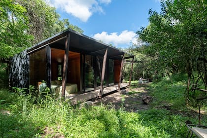La leve inclinación del techo capta luz del norte en invierno, respeta la presencia de los árboles y ayuda a las canaletas que están en el lado sur