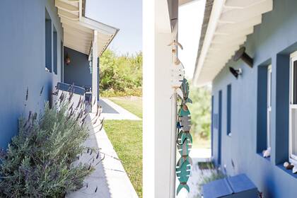 Las lavandas le suman color y aroma a la galería.