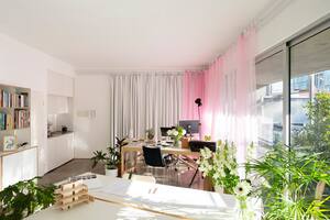 Foto de una oficina con dos escritorios y muchas plantas.