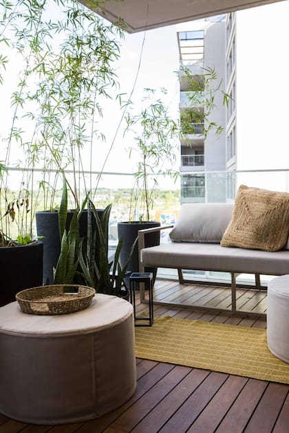 Deck (Patagonia Flooring). Accesorios (Siri Productos).