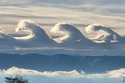 (Foto Facebook Rachel Gordon)