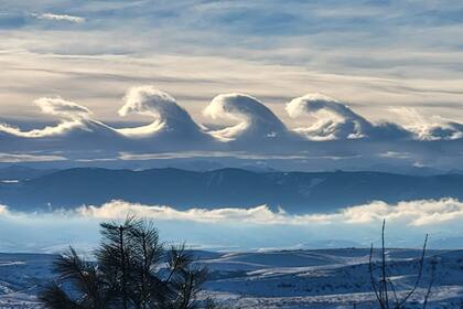 (Foto Facebook Rachel Gordon)