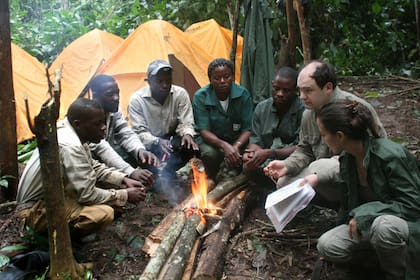 Foto: Fernando Turmo, JGI Congo