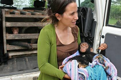 Foto: Fernando Turmo, JGI Congo