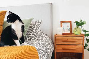 Foto gentileza de Lucía Gogenola