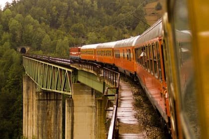 Foto: Nick Cottman/Alamy Stock Photo