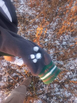 Foto tomada por el productor Leonardo Mateos