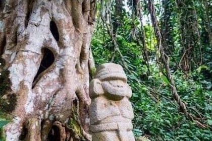 Foto: Twitter @ColDesconocida