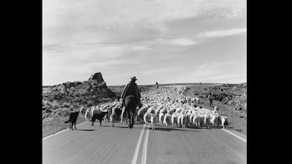 Fotografía de Marcos Zimmermann que forma parte de la exposición de FoLa