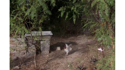 Fotografía de Sol Miraglia