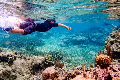 Fotografía submarina de un niño de 7 años que bucea a través del arrecife de coral cerca de Ambergris Caye, Belice