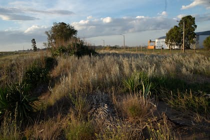 Fotografías de Arroyo Parejas en enero de 2025, después de la remediación que impulsó el consorcio de Puerto Rosales