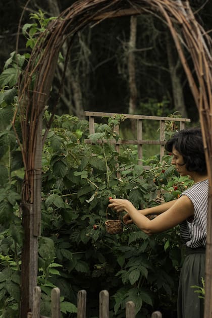 Fotos Calamuchita Revista Living