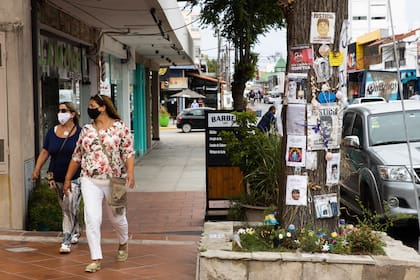 Fotos, carteles, rosarios, flores, son algunas de los recuerdos de Fernando Báez Sosa en el árbol que se transformó en un santuario