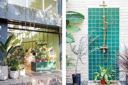 La obra de este nuevo local, en el que las plantas se funden con el color de las paredes, estuvo a cargo del estudio Platz, también de la zona, de las arquitectas Carolina Maciel y Laura Libenson.