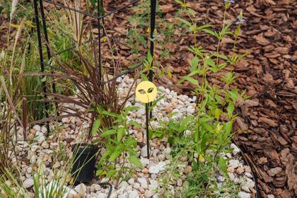 Sectorizar para generar "islas vegetales", una estrategia simple de aplicar en cualquier jardín.