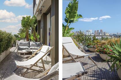 Todas las macetas tienen riego por goteo automatizado. La iluminación se organizó con artefactos direccionables amurados sobre el marco de las ventanas.