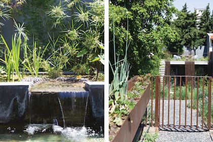Un estanque de plantas acuáticas filtra el agua de la pileta para evitar el uso de cloro u otros productos químicos.