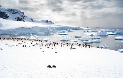 Antártida, Gustavo Castaing